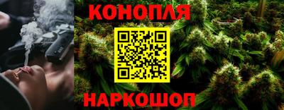 наркотики Новозыбков