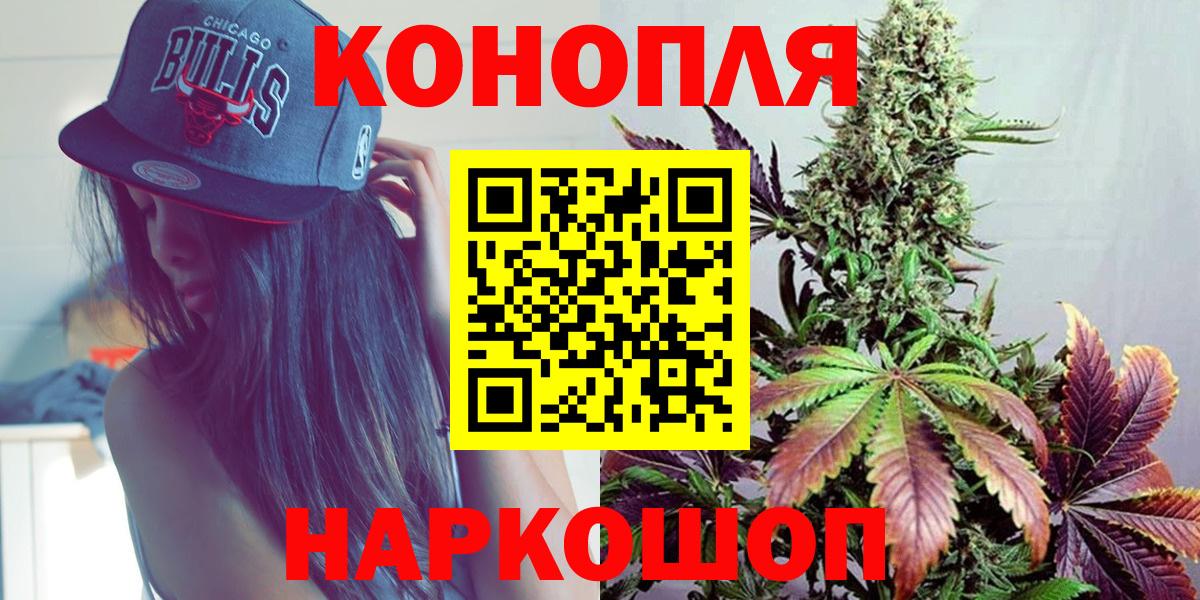 Конопля гибрид Усинск